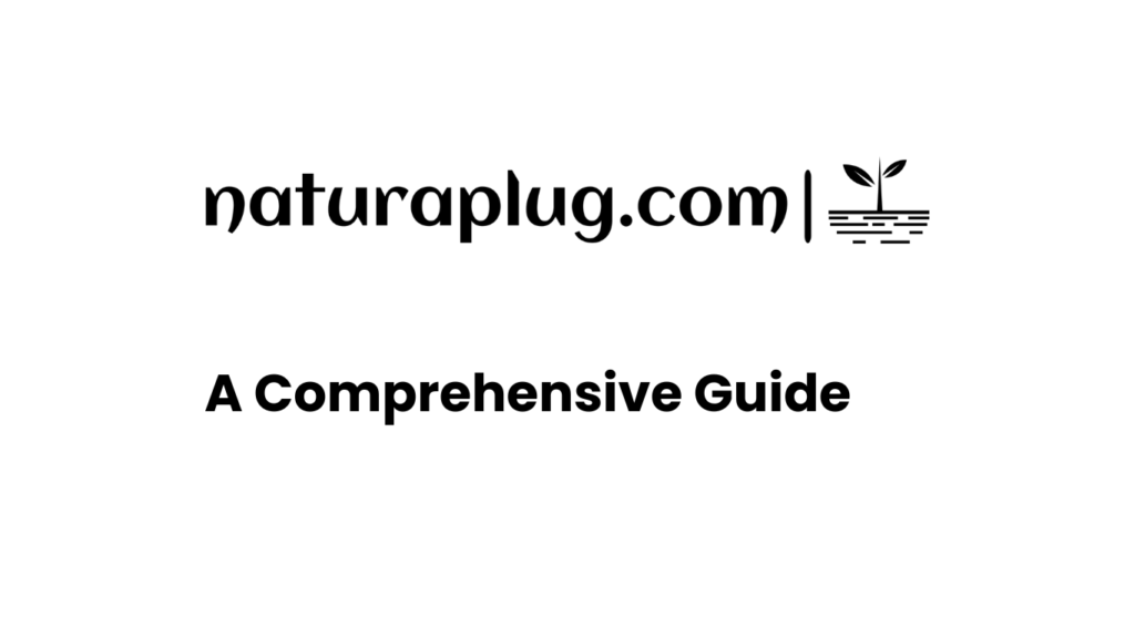 NaturaPlug.com A Comprehensive Guide